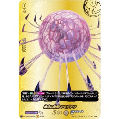 バ*し様 【未使用品セール】ヴァンガード バディファイト ボックス Amazon.co.jp: カードファイト！！ ヴァンガード タイトル
