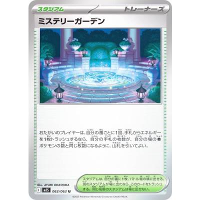 ポケモンカード　ポケカ　サポーター　グッズ スタジアム　エネルギー　セット ポケモンカードグッズ スタジアム エネルギーまとめ売り 2枚