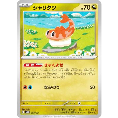 シャリタツarのおすすめ人気ランキングTOP100 - Yahoo!ショッピング