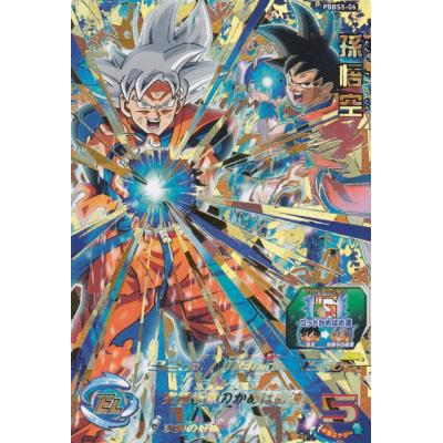 トレカショップ LEAD. - 9ポケットバインダー究極セット(PBBS5
