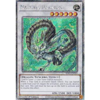 遊戯王 ナチュル（トレーディングカード） | ゲーム、おもちゃ の商品