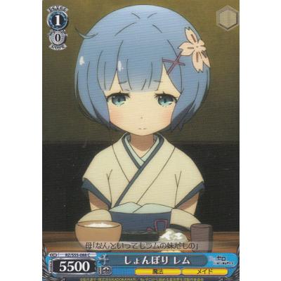 PSA 10 連番リゼロ　ヴァイス　ギンガムチェック　レム　ラム　エミリア PSA 10 連番リゼロ ヴァイス ギンガムチェック レム ラム