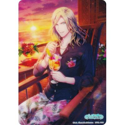 リルぷりっ カード（ゲーム、おもちゃ）のおすすめ人気商品一覧 通販