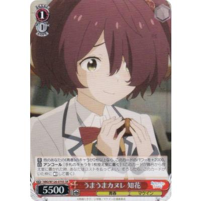 知花のおすすめ人気商品一覧 通販 - Yahoo!ショッピング