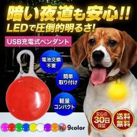 首輪 光る 光る首輪 犬 LED ペンダント 充電式 USB ライト ランニング ウォーキング 散歩 | leafage