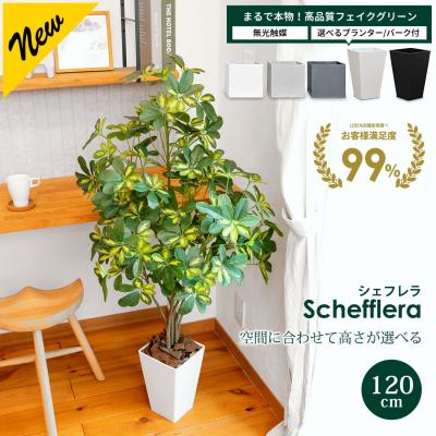 シェフレラアンガスティフォリア（人工観葉、フェイクグリーン） | 花