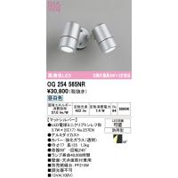 OG254565NR オーデリック LEDエクステリアライト  ランプ別梱包 | インテリア照明ルセル