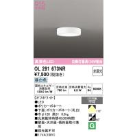 OL291673NR オーデリック LED小型シーリングライト | インテリア照明ルセル