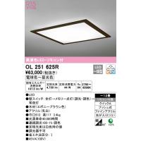 2023年モデル　OL251625R LEDシーリングライト  オーデリック odelic LED照明 | LED照明とエアコンのお店