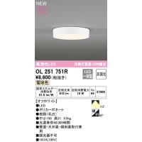 2023年モデル　OL251751R LEDシーリング  オーデリック odelic LED照明 | LED照明とエアコンのお店