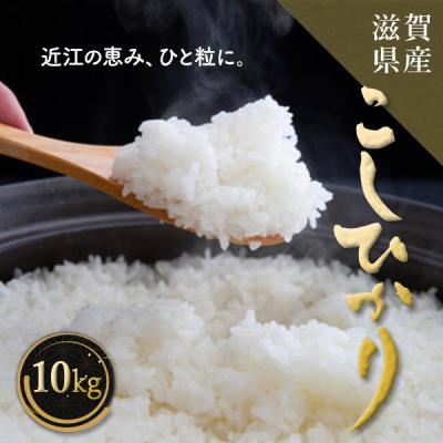 コシヒカリ 10kg 滋賀県産 米 お米 こめ 令和7年度米 受注精米 精米