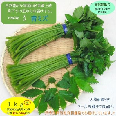 山菜 ミズの商品一覧 通販 - Yahoo!ショッピング