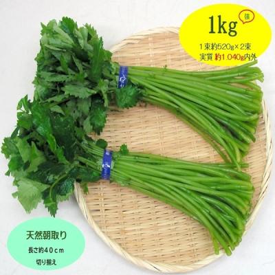 山菜 ミズ（野菜 山菜）｜野菜 | 食品 の商品一覧 通販 - Yahoo