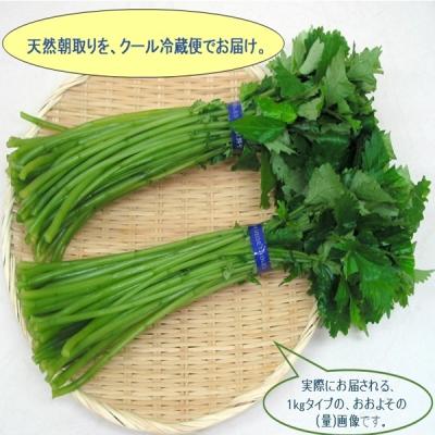 ミズ 山菜の商品一覧 通販 - Yahoo!ショッピング
