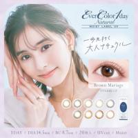 カラコン エバーカラーワンデーナチュラル　モイストレーベルＵＶ　（1箱20枚入） 新木優子　カラコン エバーカラー | エルアイビー LIBヤフー店