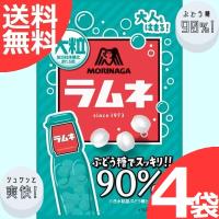 森永製菓 大粒ラムネ 41ｇ 10袋 まとめ買い 10 菓子問屋 安井商店 通販 Yahoo ショッピング