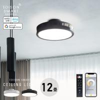 エジソンスマート LED デュアルシーリングライト 12畳用 おしゃれ 調光