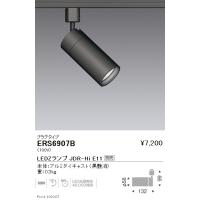 ENDO 遠藤照明 LED調光調色スポットライト(ランプ別売） ERS6907B 