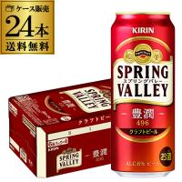 キリン スプリングバレー 豊潤496 500ml×24本 送料無料 1本あたり315円(税別) SPRING VALLEY 国産 クラフトビール 長S | ビアーザワールドYahoo!店