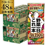 カゴメ 野菜一日これ一本 200ml 48本 送料無料 2ケース 紙パック 野菜ジュース 長S | リカマンYahoo!店
