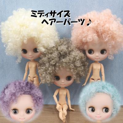 カスタム☆ミディアイシードール2体セット 即納 アイシードール 2体 おたのしみBOX ネオサイズ 着せ替え