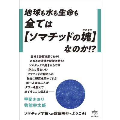 古代ソマチッド、100グラム袋、2個 古代ソマチッド、100グラム袋、2個 古代ソマチッド 100g×2袋