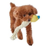 アドメイト (ADD. MATE) 犬用おもちゃ Camu Come Dental Birds ヒヨコ | LINEAR1