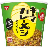 日清食品 日清キーマカレーメシ スパイシー インスタント 105g×6個 | LINEAR1