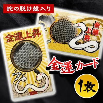 白蛇 抜け殻のおすすめ人気商品一覧 通販 - Yahoo!ショッピング