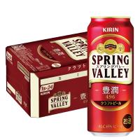 あすつく 送料無料 ビール クラフトビール キリン SPRING VALLEY 豊潤 496 500ml×1ケース/24本 スプリングバレー | リカーBOSS