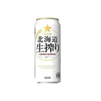 5/1限定+3％ 発泡酒 送料無料 2ケースセット サッポロ ビール ビール 北海道生搾り 500ml×48本/一部地域は別途送料が必要です あすつく | リカーBOSS