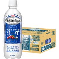 送料無料 キリン 世界のKitchenから ソルティライチ ソーダ 500ml×1ケース/24本 | リカーBOSS