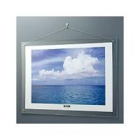 アクリル製 ピクチャーフレーム 壁掛けタイプ B2判プリント用 フ-ACH-B2 | リトルトゥリーズ