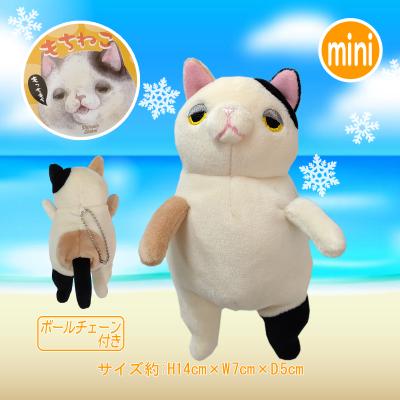 LITTLE BOX OKINAWA - 【もちシリーズ】｜Yahoo!ショッピング