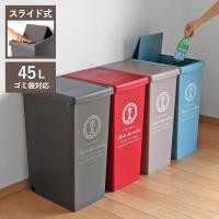ゴミ箱 45L スライドペール ふた付き エッフェル塔 （ ごみ箱 45リットル ダストボックス スリム 分別 キッチン スライド ）