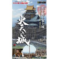 童友社 1/540  安土城  火天の城 映画公開記念版 | エルエルハット