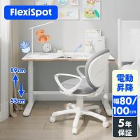 学習机 勉強机 シンプル 子供 昇降デスク FlexiSpot SD1 キッズデスク 机 デスク おしゃれ 高さ調節 電動昇降デスク スタンディングデスク 幅80 100cm 爆買
