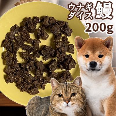 ウナギ（ペット用品、生き物）のおすすめ人気商品一覧 通販 - Yahoo