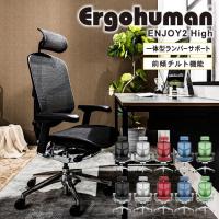 エンジョイ Enjoy エルゴヒューマン Ergohuman オフィスチェア ヘッドレスト メッシュチェア パソコンチェア チェア EJ2-HAM | LOOKIT オフィス家具 インテリア