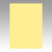 画用紙 色画用紙 ニューカラーR  リンテック GO4NCR-101 | ルーペスタジオ