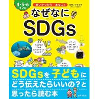 4・5・6さいの なぜなにSDGs せいかつから まなぶ  (世界文化社のワンダー絵本) | luanaショップ1号店