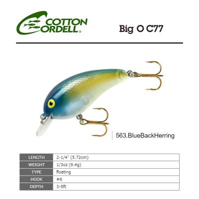 コットンコーデル（COTTON CORDELL） C77 ビッグオー 563