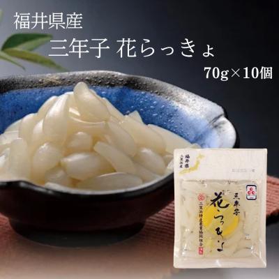 らっきょうのおすすめ人気商品一覧 通販 - Yahoo!ショッピング