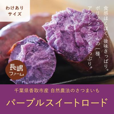 181818y　パープルスイートロード 10kg 紫芋（さつまいもの品種：パープルスイートロード（紫芋））の