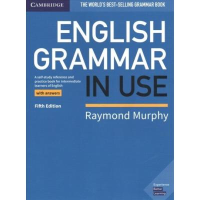 english grammar in use（英語関連の本）｜語学、辞書 | 本、雑誌