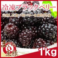 冷凍 ブラックベリー 500g 1 冷凍フルーツ ヨナナス Blackberry 1p マグロ問屋 まぐろの王様 Yahoo 店 通販 Yahoo ショッピング
