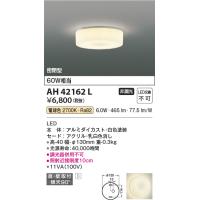 コイズミ照明　AH42162L　薄型ブラケットライト 白熱球60W相当 LED一体型 電球色 ホワイト 直付・壁付取付 | まいどDIY