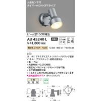 コイズミ照明　AU45240L　アウトドアスポットライト 人感センサ タイマー付ON-OFFタイプ LED一体型 電球色 防雨型 | まいどDIY