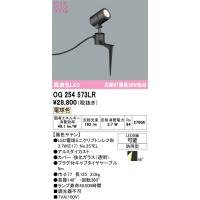 オーデリック　OG254573LR　エクステリア スポットライト LEDランプ 電球色 防雨型 黒色サテン | まいどDIY