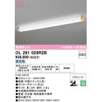 オーデリック　OL291029R2B(LEDユニット別梱)　ブラケットライト 非調光 LED一体型 昼白色 木調ナチュラル | まいどDIY